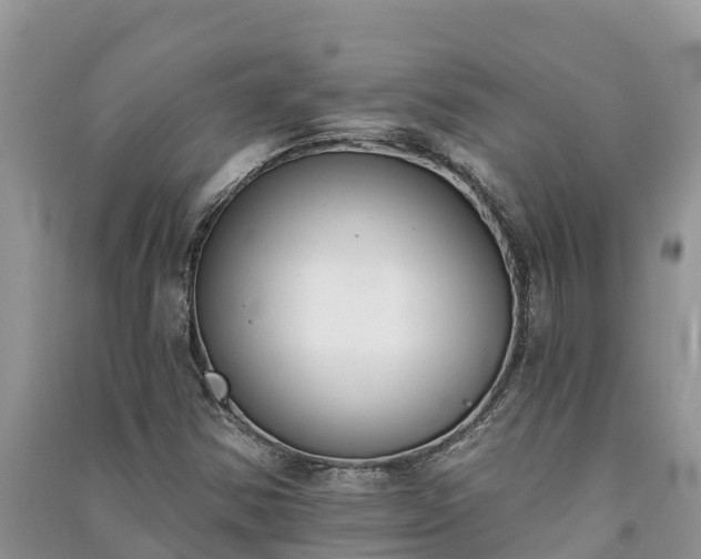 X0000091071354200708131143