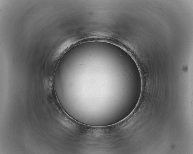 X0000091071355200708131143