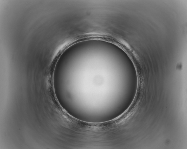 X0000091071357200708131143