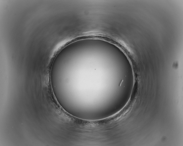 X0000091071358200708131143