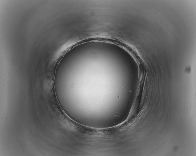 X0000091071359200708131143