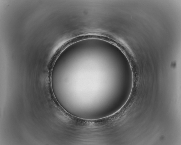 X0000091071360200708131143