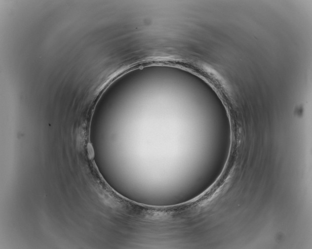 X0000091071361200708131143