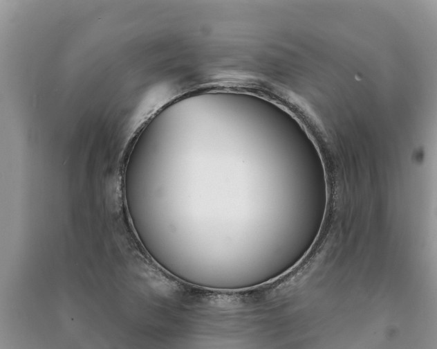 X0000091071362200708131143