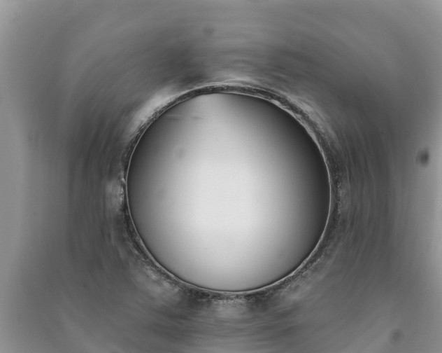 X0000091071363200708131143