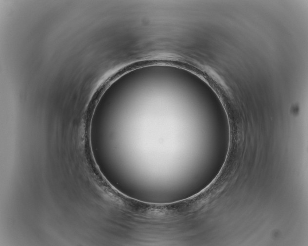 X0000091071364200708131143