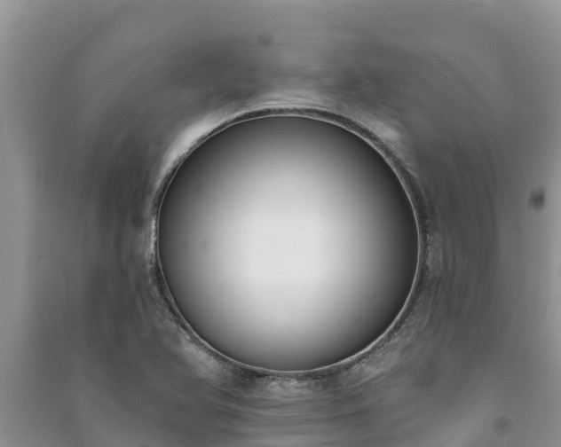 X0000091071366200708131143