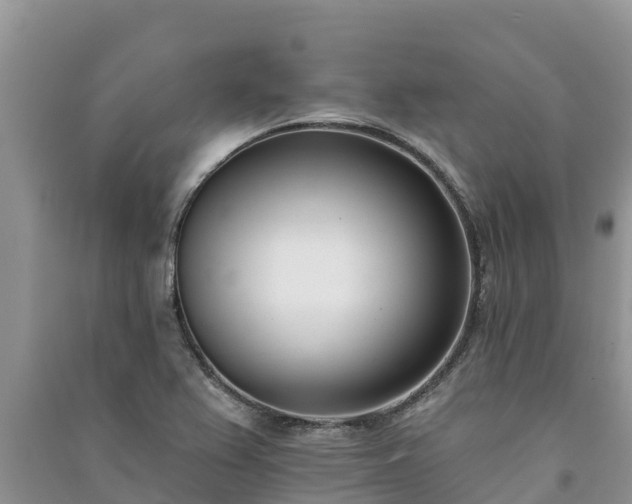 X0000091071367200708131143