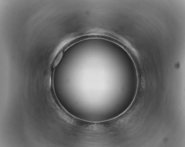 X0000091071368200708131143