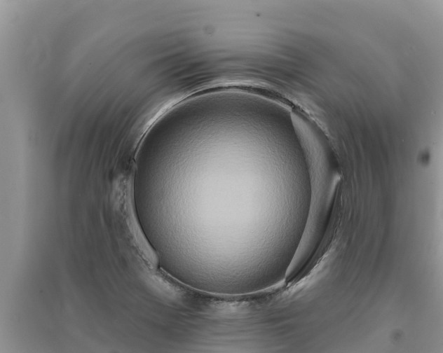 X0000091071369200708131143