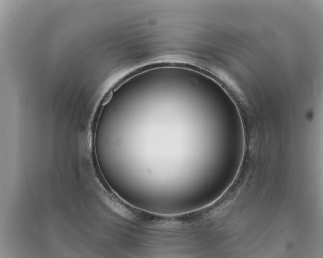 X0000091071372200708131143