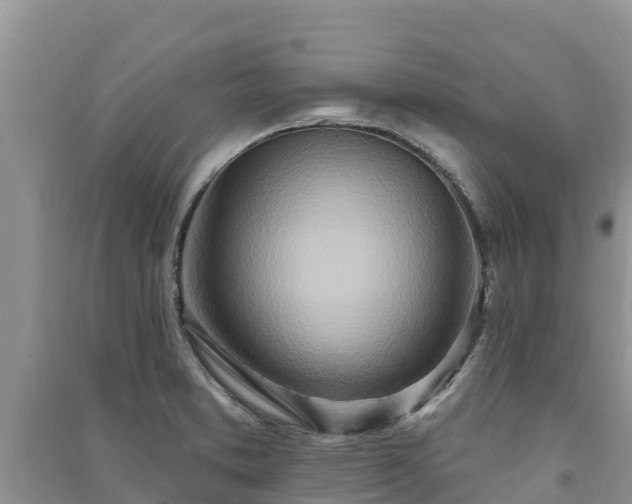 X0000091071373200708131143