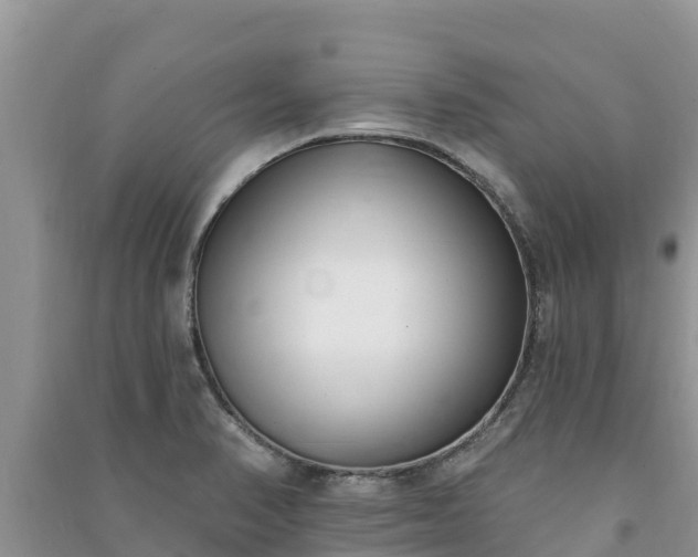 X0000091071374200708131143
