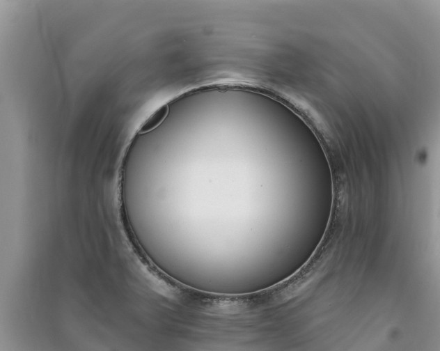 X0000091071375200708131143