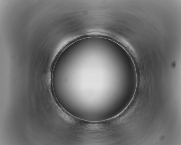 X0000091071376200708131143