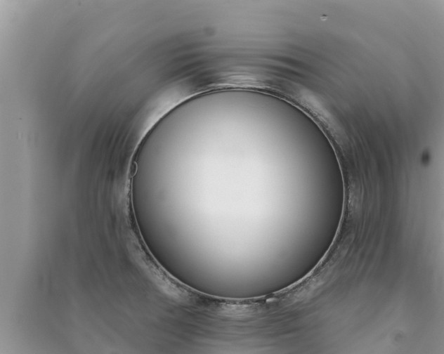 X0000091071378200708131143