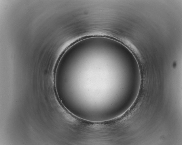 X0000091071380200708131143
