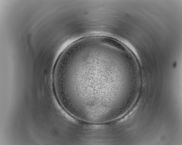X0000091071381200708131143