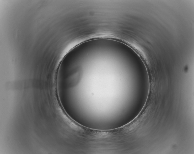X0000091071382200708131143