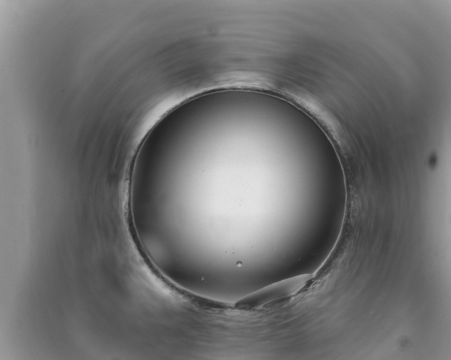 X0000091071383200708131143