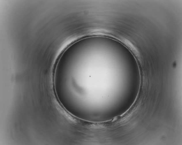 X0000091071384200708131143