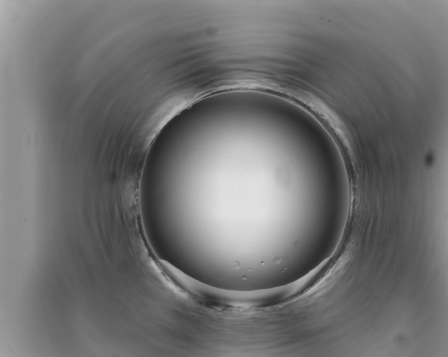 X0000091071385200708131143