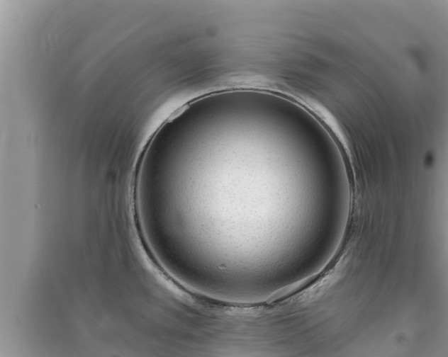 X0000091071389200708131143