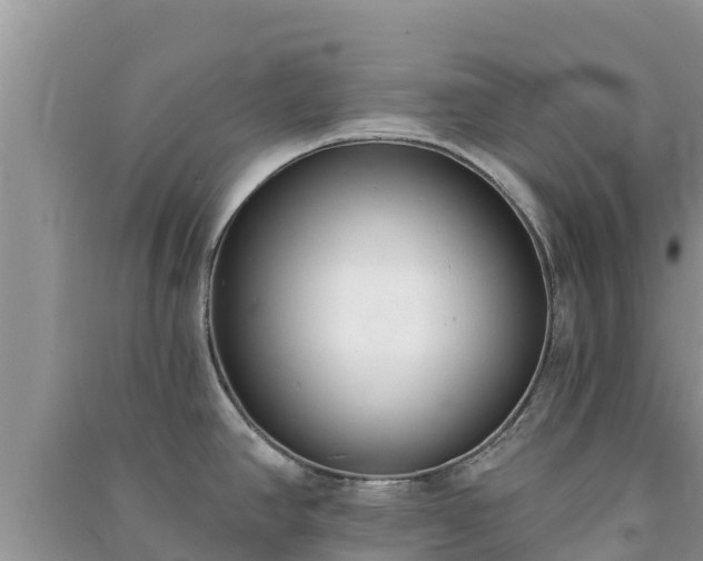 X0000091071390200708131143