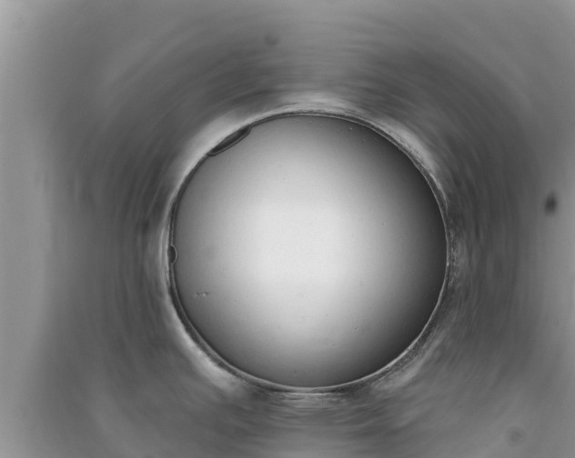 X0000091071391200708131143