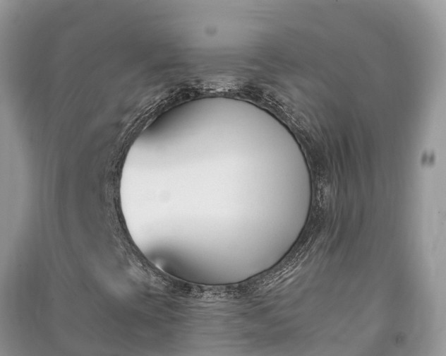 X0000091071393200708131142