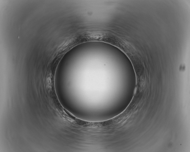 X0000091071394200708131142