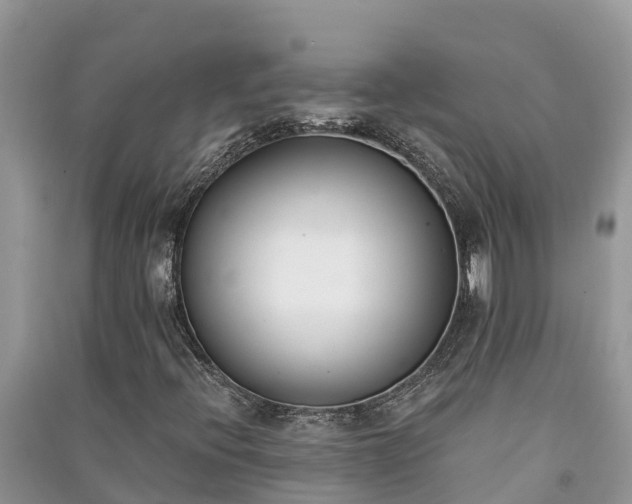 X0000091071396200708131142