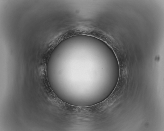 X0000091071397200708131142