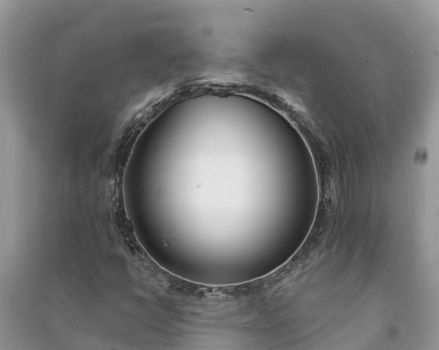 X0000091071398200708131142