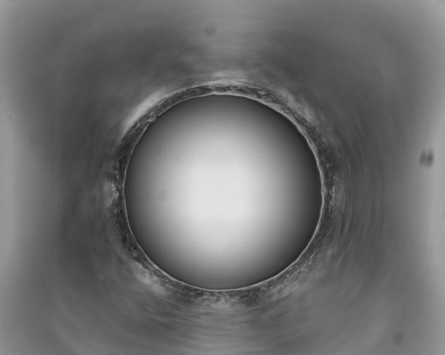 X0000091071400200708131142