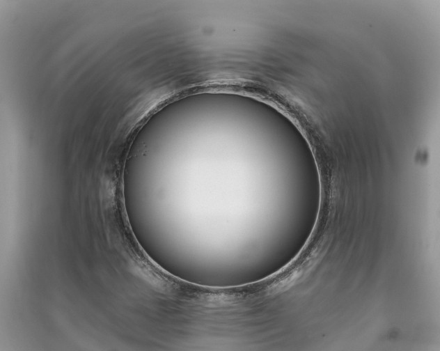 X0000091071401200708131142