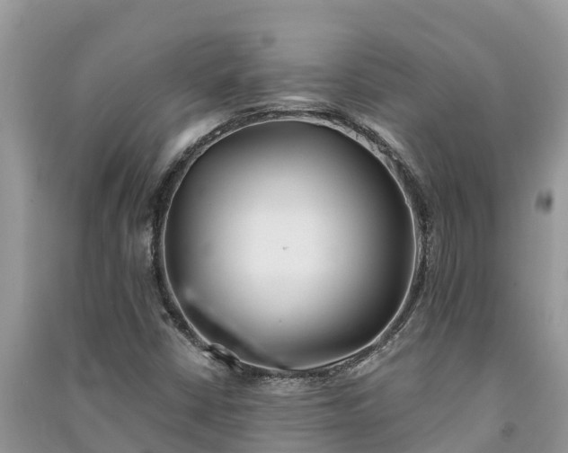 X0000091071402200708131142