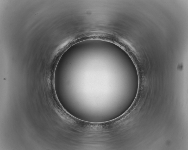 X0000091071403200708131142
