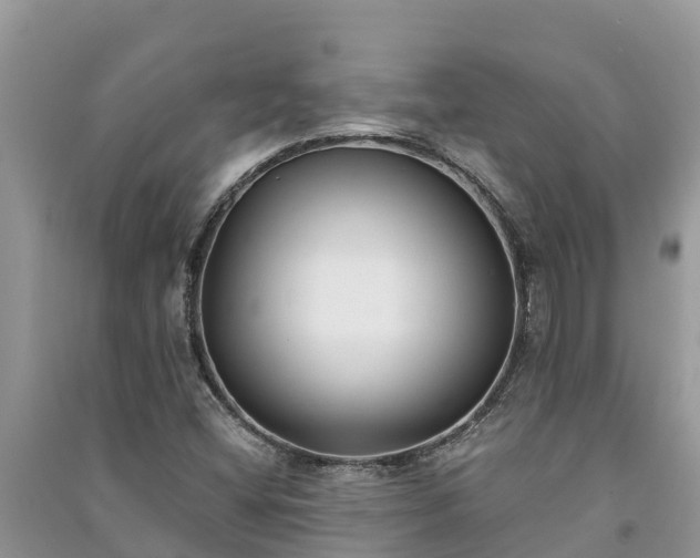 X0000091071404200708131142