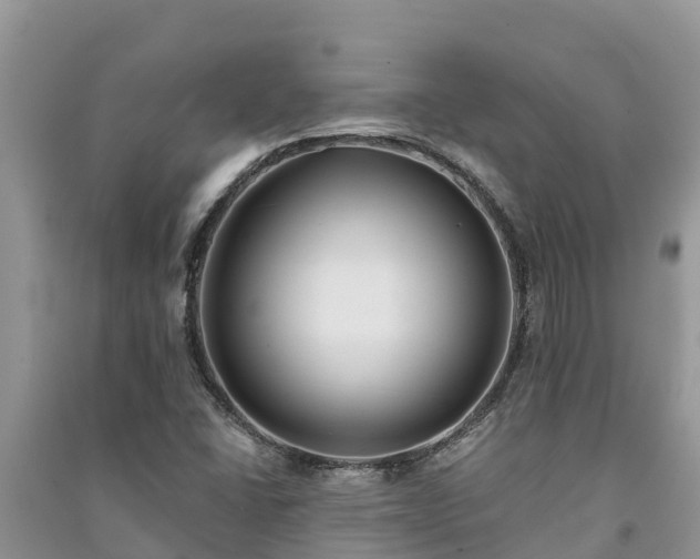 X0000091071406200708131142