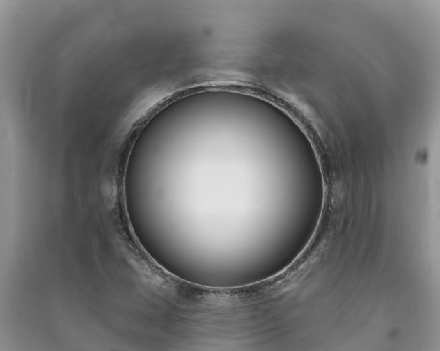 X0000091071407200708131142