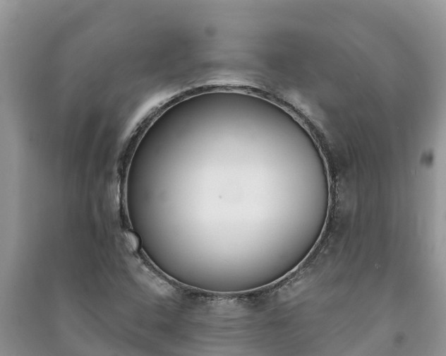 X0000091071408200708131142