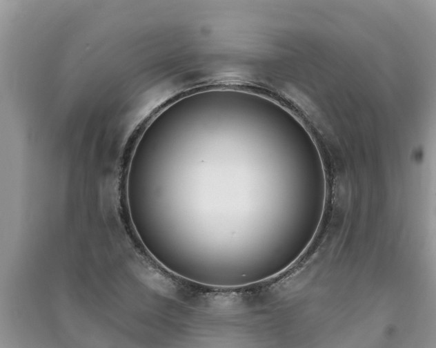 X0000091071410200708131143