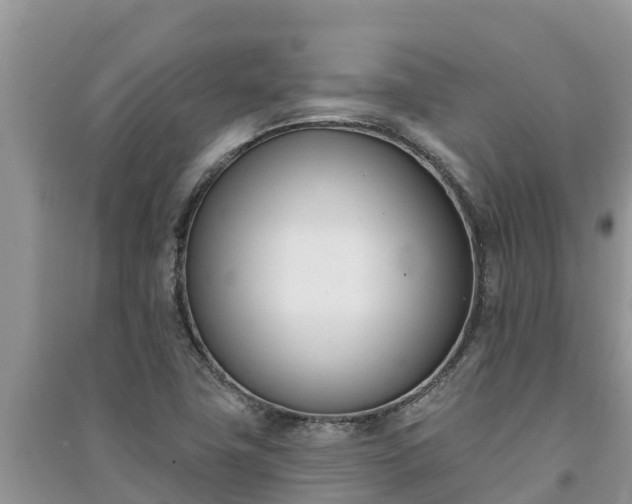 X0000091071411200708131143