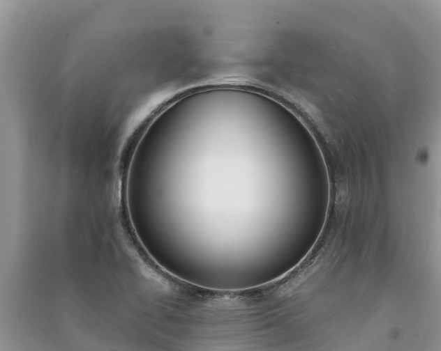 X0000091071414200708131143