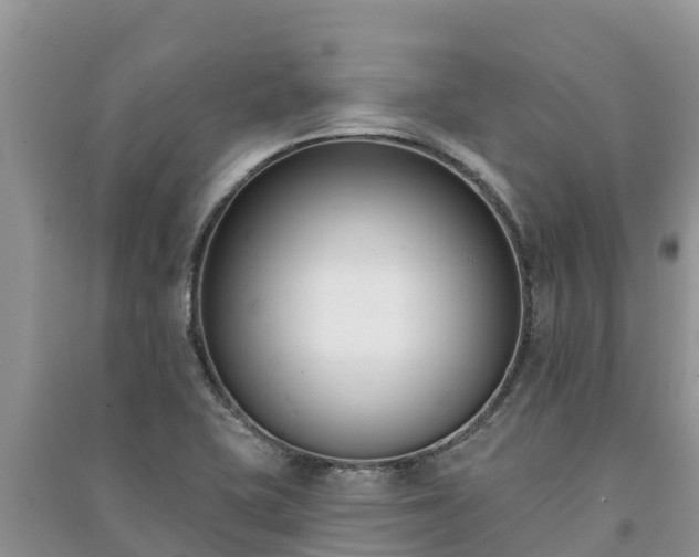 X0000091071415200708131143