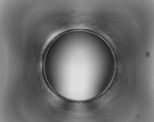 X0000091071416200708131143