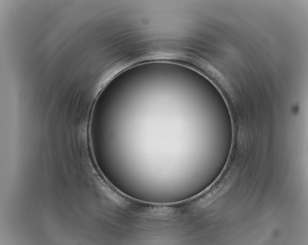 X0000091071417200708131143
