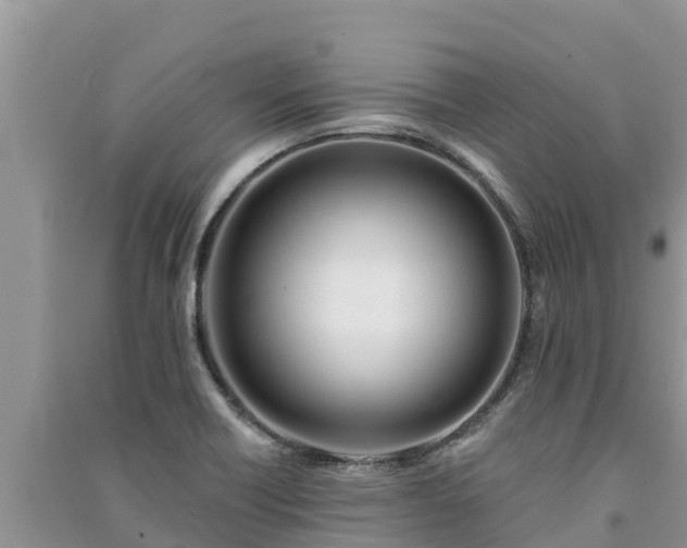 X0000091071418200708131143