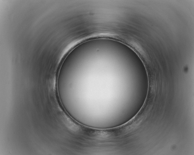 X0000091071420200708131143